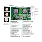 Digitális mérőmikroszkóp, képernyővel 15x~100x