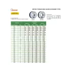 Megy oldali metrikus gyűrűs menetidomszer, 6g, M60x5.5 mm