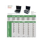 21 részes, F2, rozsdamentes acél kalibráló súlykészlet, 1mg~100g