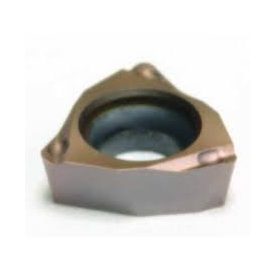 WBGT 080202 LFW T1500A