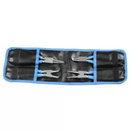 539/1PCT